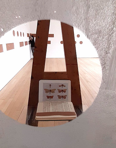 The view is through a porthole into a large, bright gallery space. In the foreground is an open moth identification book, supported on an easel. Large brown Morse code dots and dashes can be seen on the gallery walls beyond.