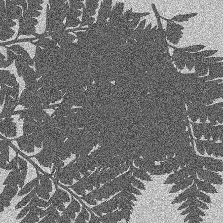 The silhouettes of four fern leaves, appearing grey and grainy as if broadcast with interference.