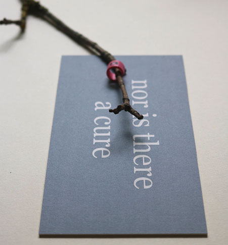 A twig, one of its limbs encircled by a pink bird ring, lies on a grey, printed card.  White text on the card reads "nor is there a cure."