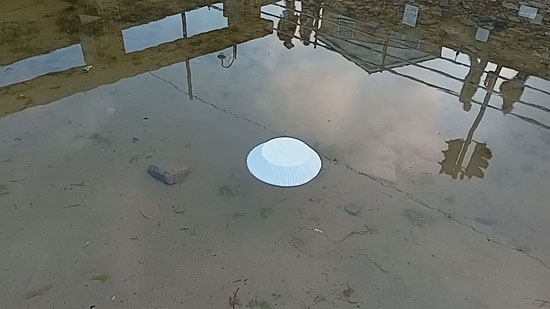 Paper case on pool with passers by